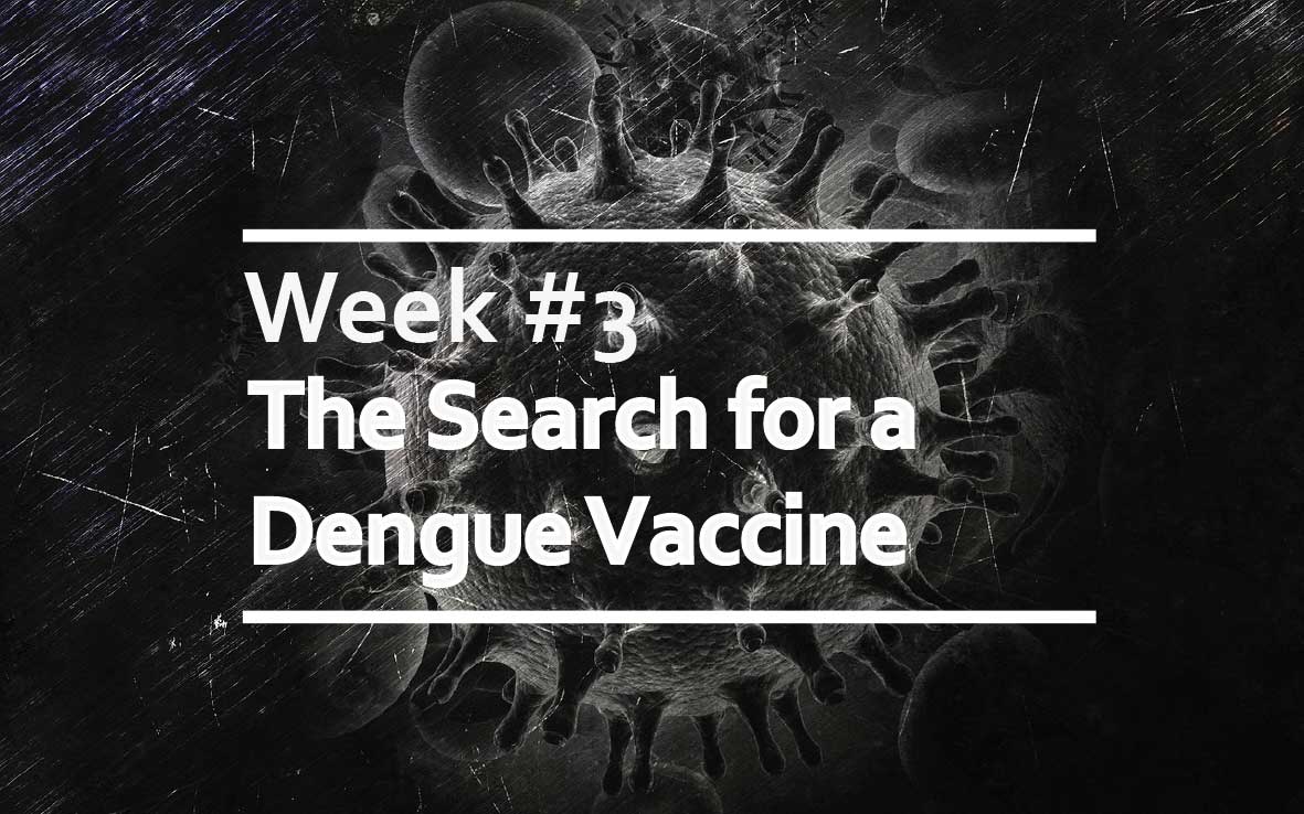 The search for a dengue vaccine: What have we learned?