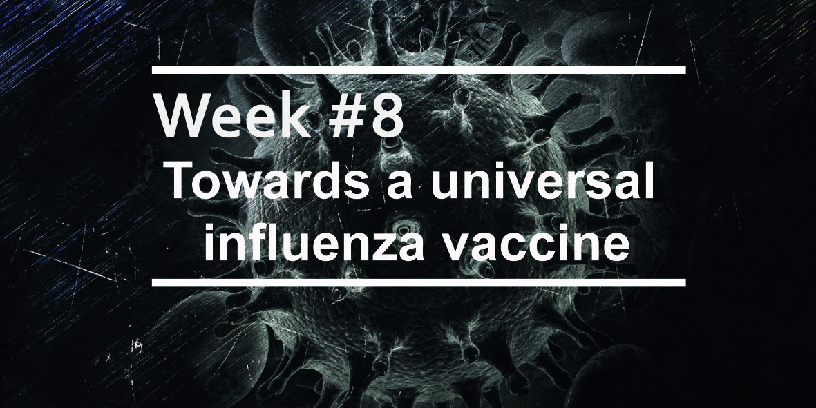 Towards a universal influenza vaccine