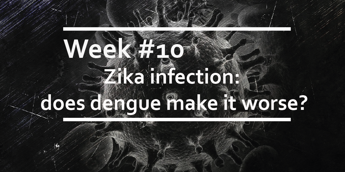 Zika infection:does dengue make it worse?