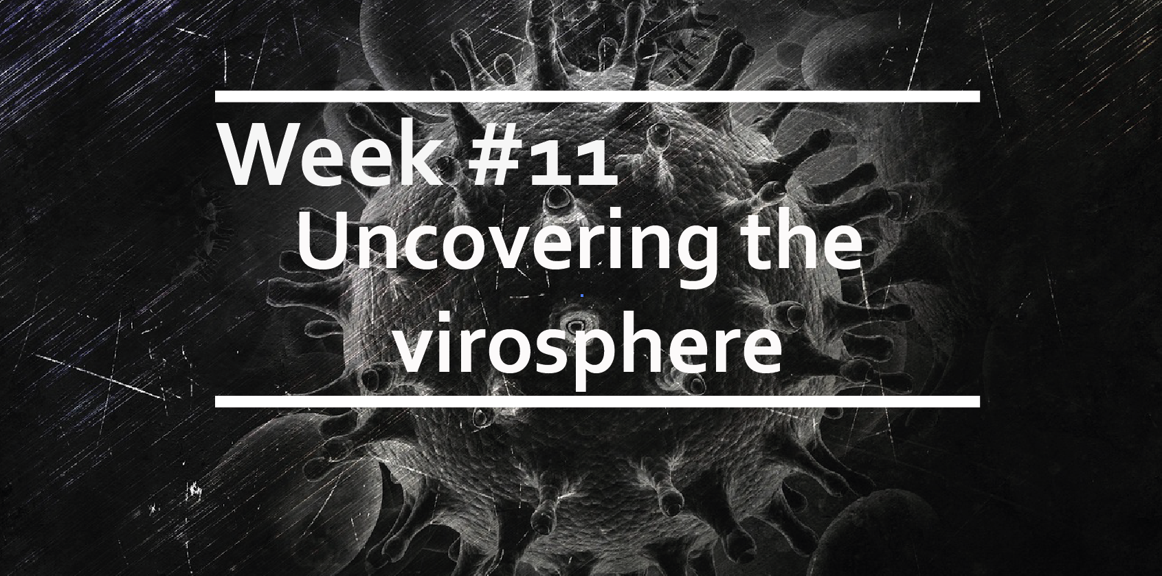 Uncovering the virosphere