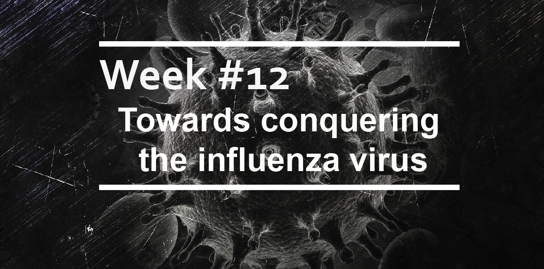 Towards conquering the influenza virus