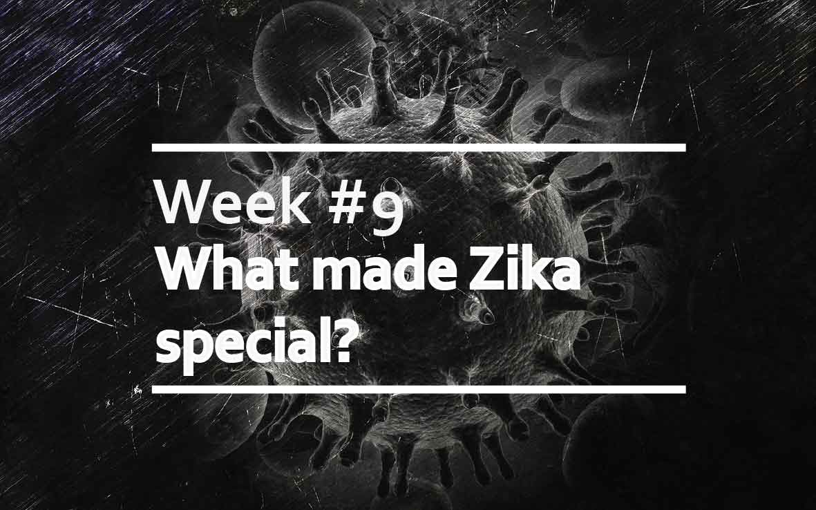 What made Zika special?