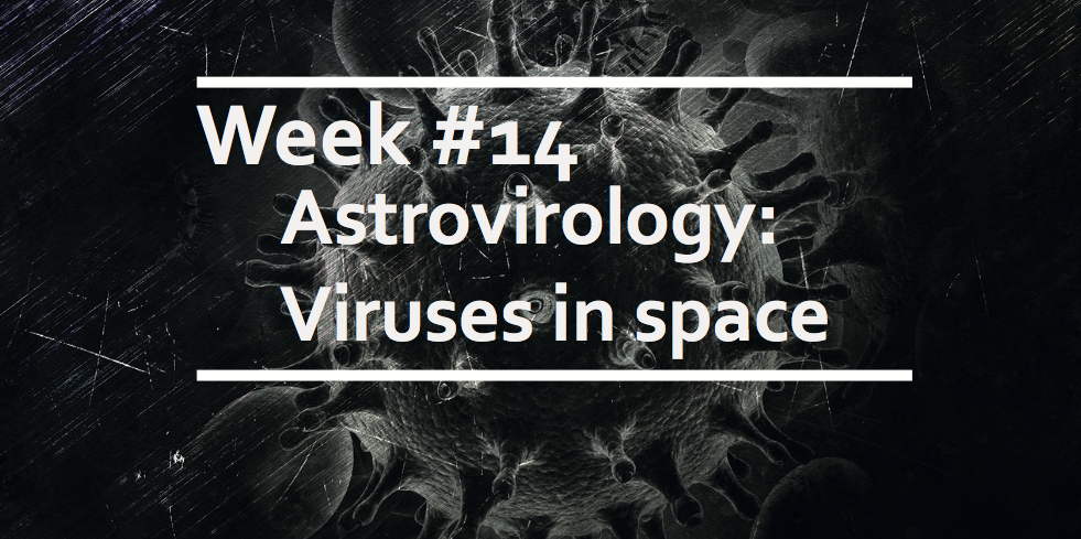 Astrovirology: Viruses in space