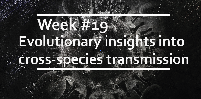 Evolutionary insights into cross-species transmission