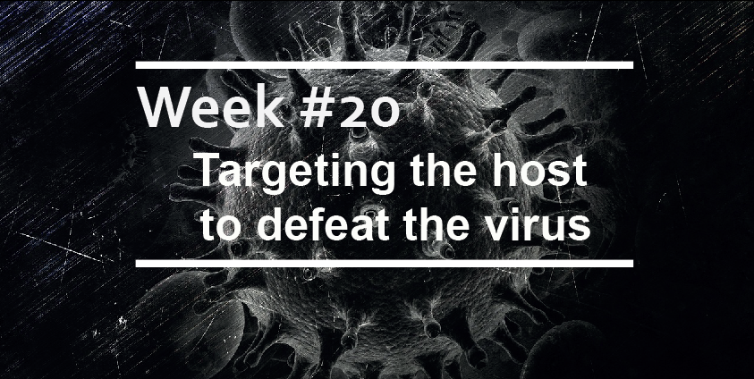 Targeting the host to defeat the virus