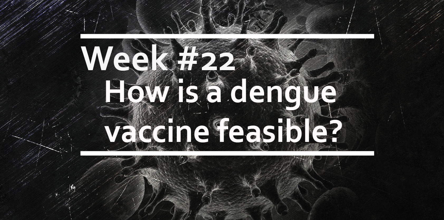 How is a dengue vaccine feasible?