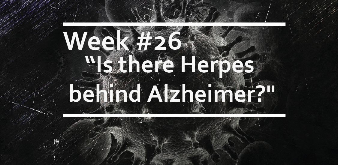 Is there Herpes behind Alzheimer?
