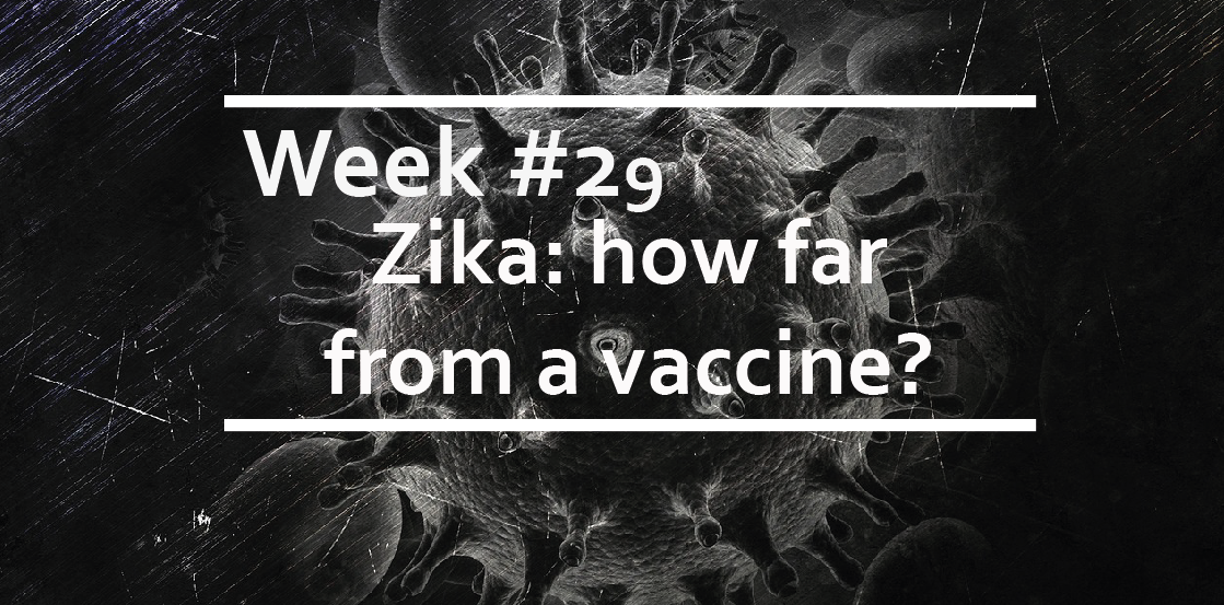 Zika: how far from a vaccine?
