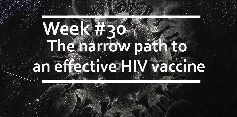 The narrow path to an effective HIV vaccine