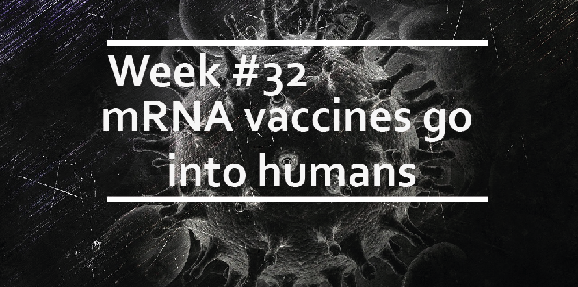 mRNA vaccines go into humans | VIROLOGY RESEARCH SERVICES