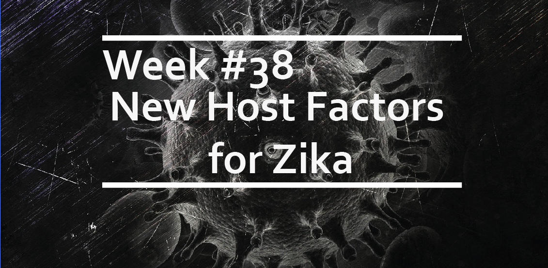 New Host Factors for Zika