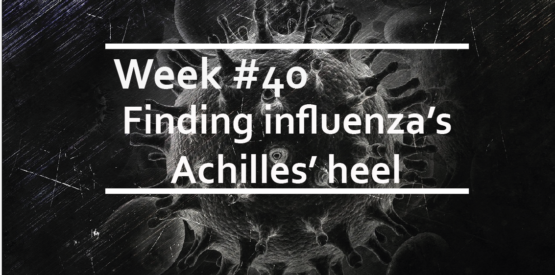Finding influenza’s Achilles’ heel