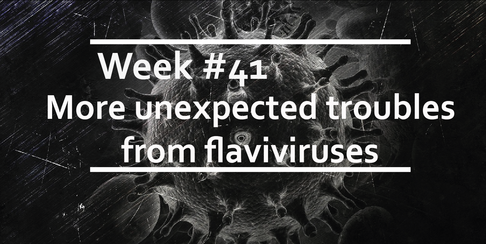 More unexpected troubles from flaviviruses