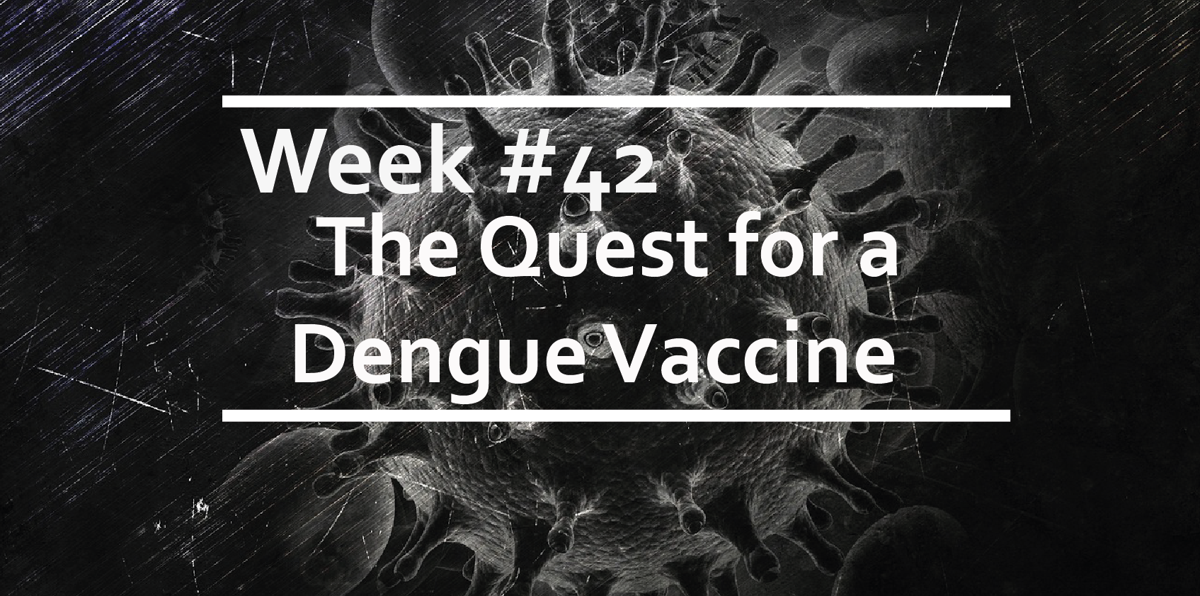 The Quest for a Dengue Vaccine