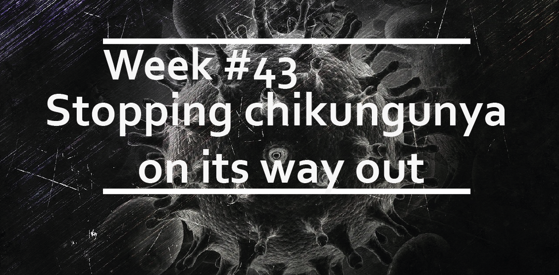 Stopping chikungunya on its way out