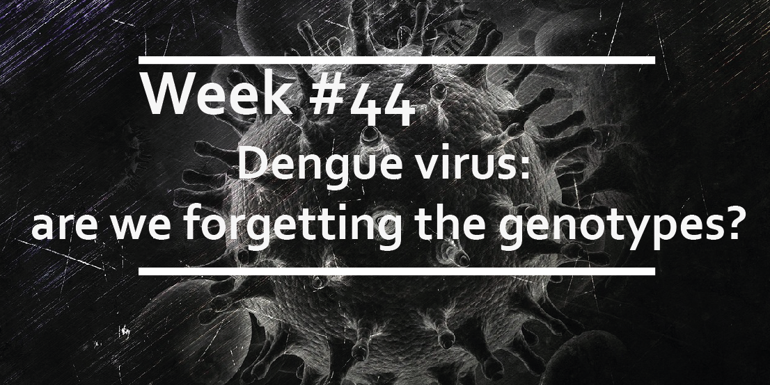 Dengue virus: are we forgetting the genotypes?