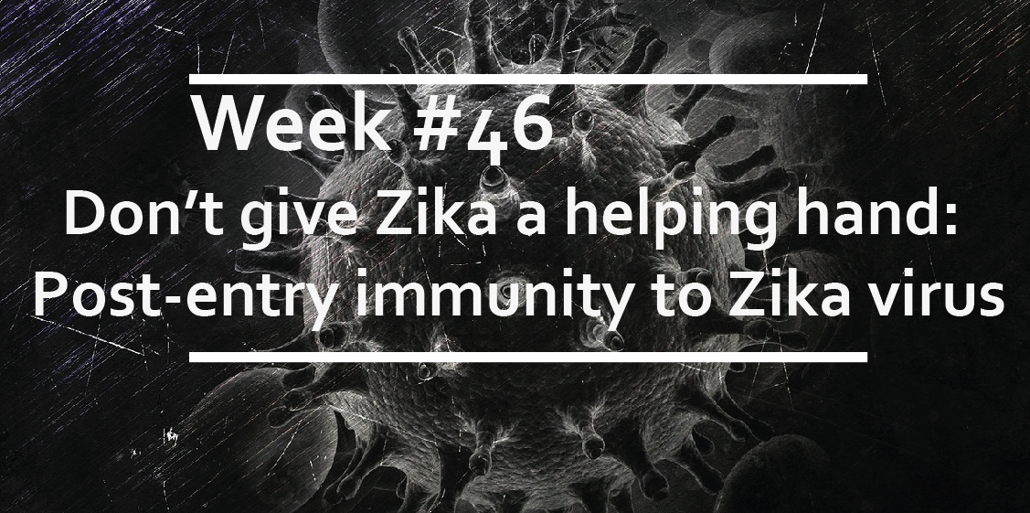 Don’t give Zika a helping hand: Post-entry immunity to Zika virus