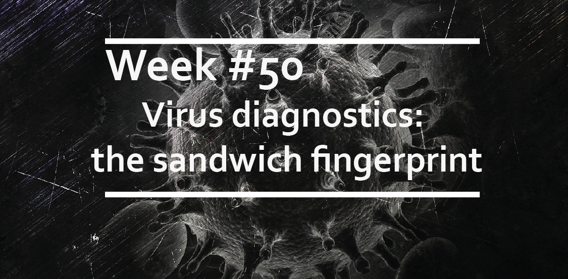Virus diagnostics: the sandwich fingerprint