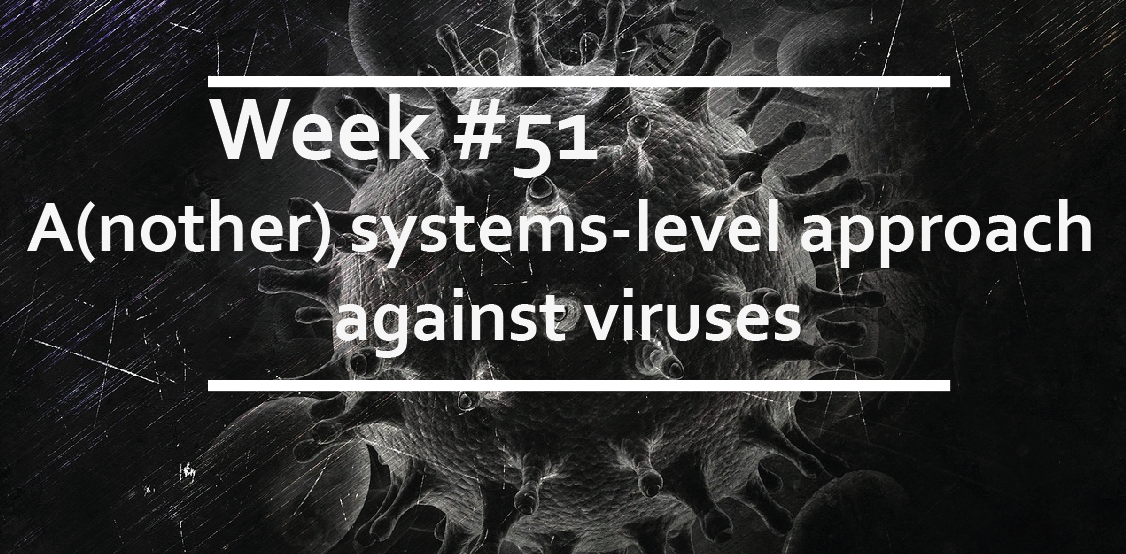 A(nother) systems-level approach against viruses