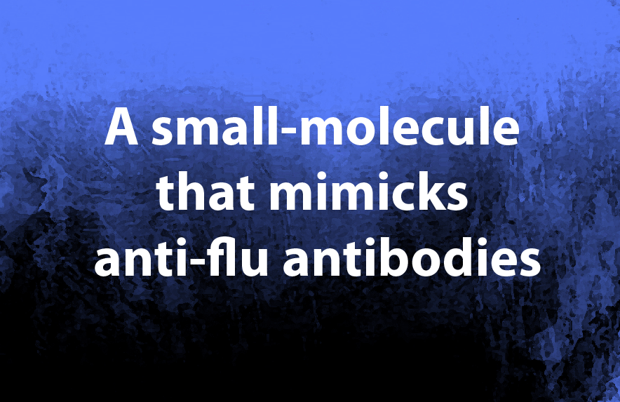 A small-molecule that mimicks anti-flu antibodies