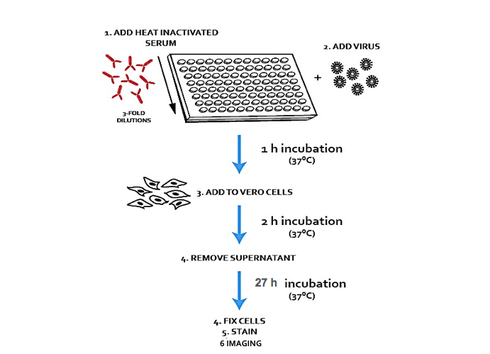 Assay of the month: The microneutralization assay