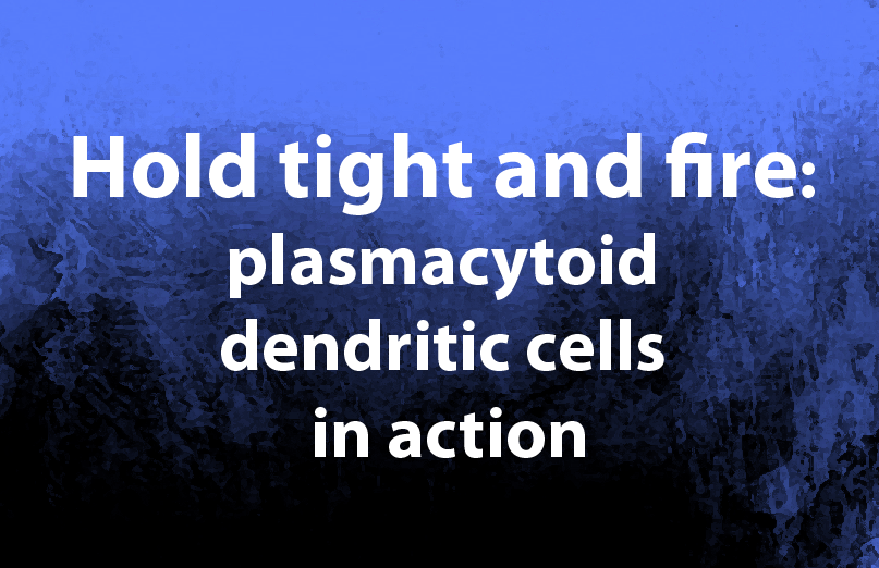 Hold tight and fire: plasmacytoid dendritic cells in action