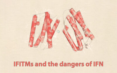 IFITMs and the dangers of IFN