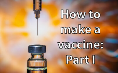 How do you go about making a vaccine? – I Part