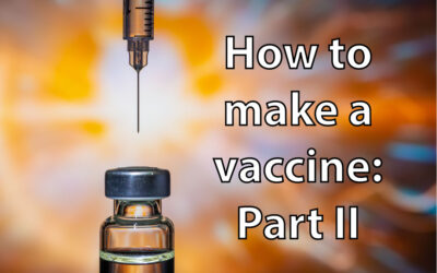 How do you go about making a vaccine? – II Part