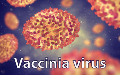 The virus of the month: Vaccinia virus