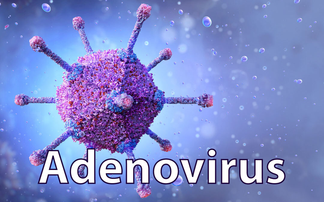 The virus of the month: Adenovirus