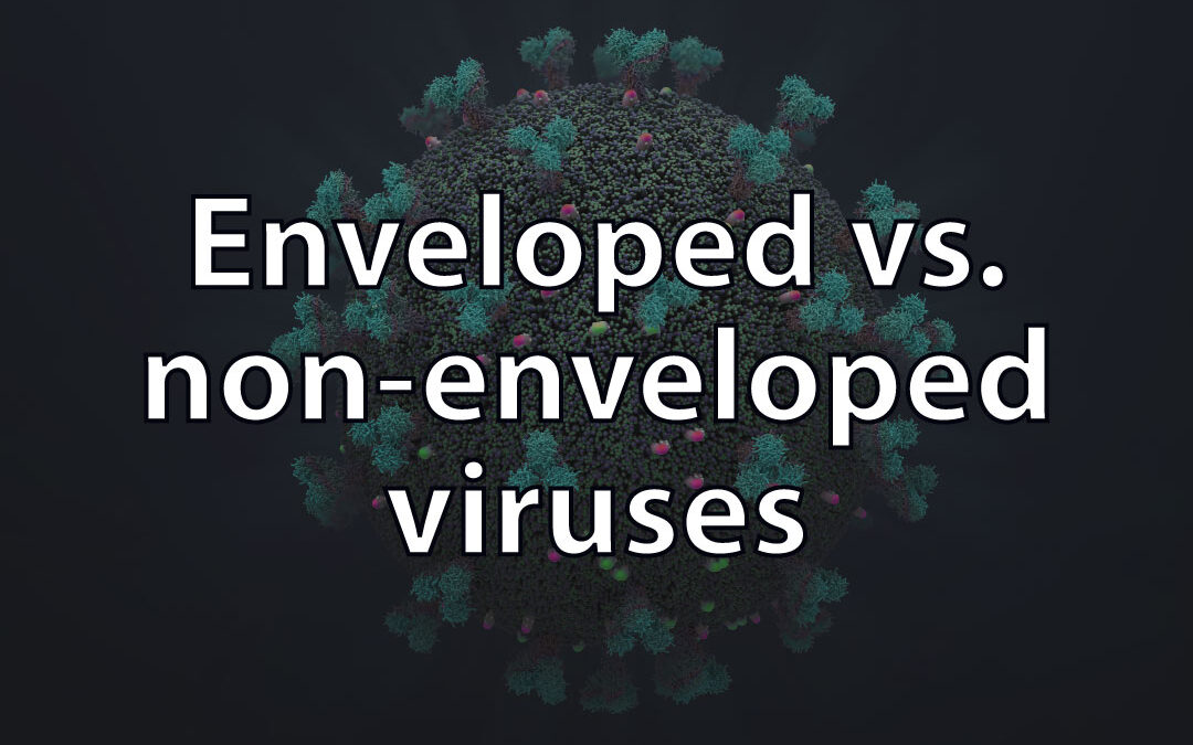 Enveloped vs. non-enveloped viruses