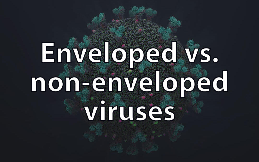 Enveloped vs. nonenveloped viruses VIROLOGY RESEARCH SERVICES