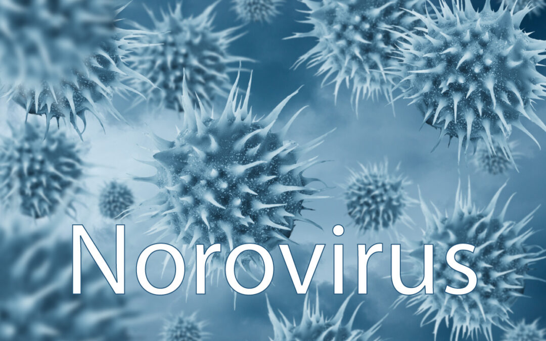 Murine norovirus deals