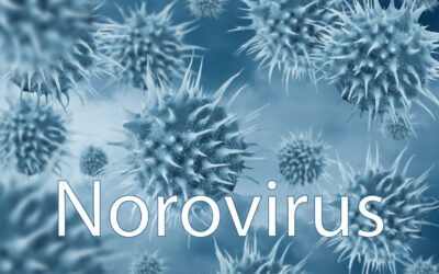 The virus of the month: norovirus