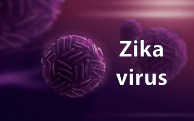 The virus of the month: Zika
