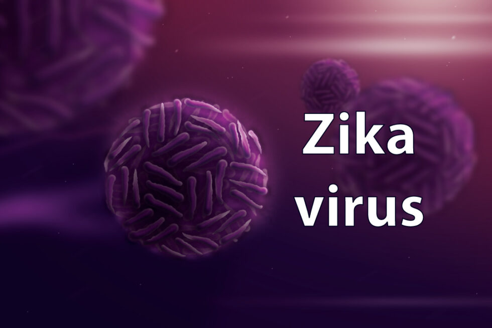 The Virus Of The Month Zika Virology Research Services