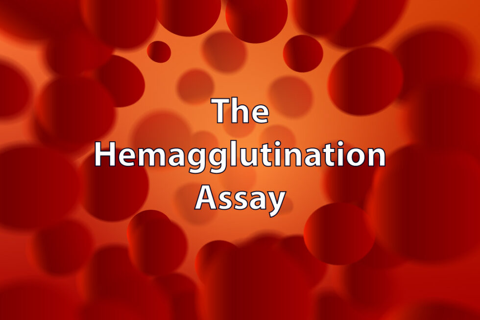 The Hemagglutination Assay VIROLOGY RESEARCH SERVICES