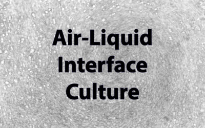 Air-liquid interface testing services