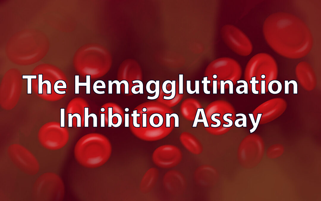 hemagglutination