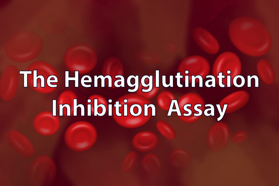 Understanding the HAI Assay - VIROLOGY RESEARCH SERVICES