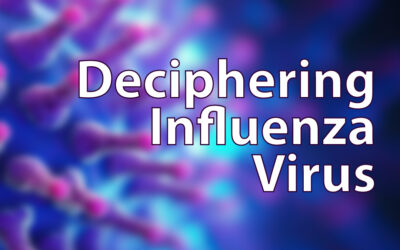 Deciphering Influenza Virus