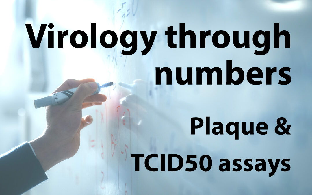 Virology through numbers: Plaque and TCID50 assays