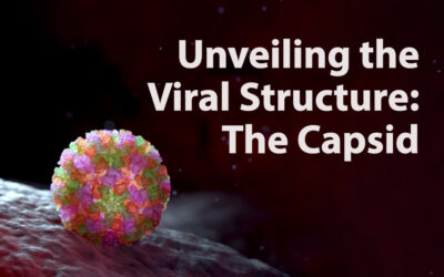 Unveiling the Viral Structure: The Capsid