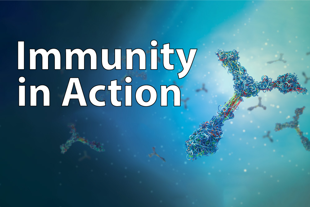 Immunity in Action: How the Body Outsmarts Viral Invaders