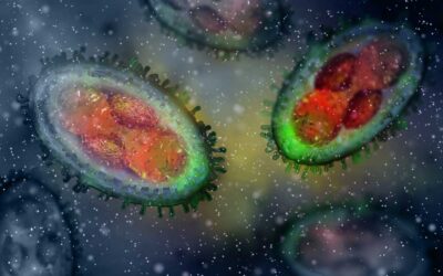 Viral Zoonotic Threats