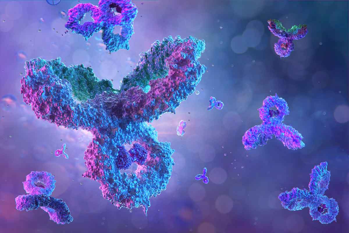 ALI cell model